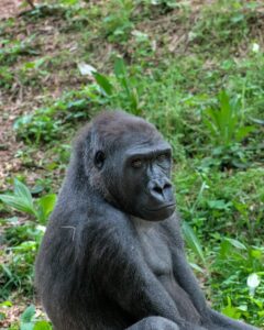 5 -Day Queen Elizabeth & Kibale National Park.